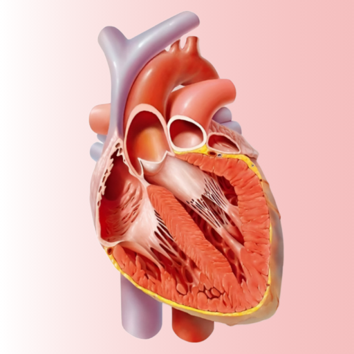 Cardiology