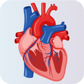 Cardiologists of Hyderabad